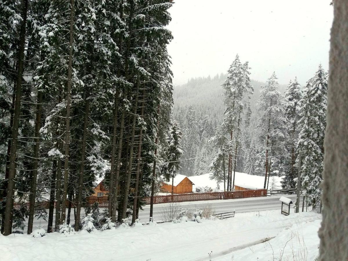 Pensiunea Vatra Bucovinei Vatra Moldovitei Exterior photo