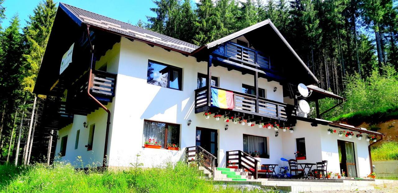 Pensiunea Vatra Bucovinei Vatra Moldovitei Exterior photo